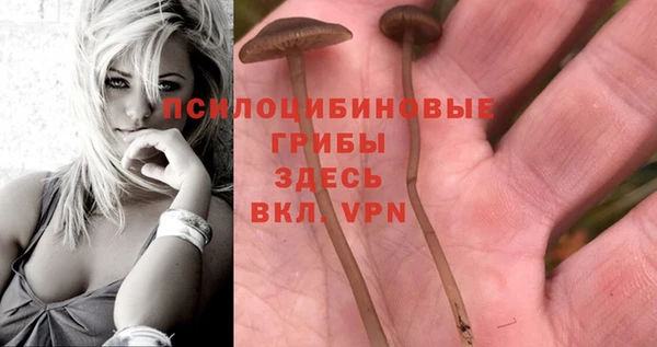 соль курить ск Волоколамск