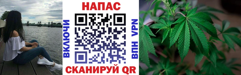 Купить где  Петропавловск-Камчатский  Бошки марихуана LSD WEED 